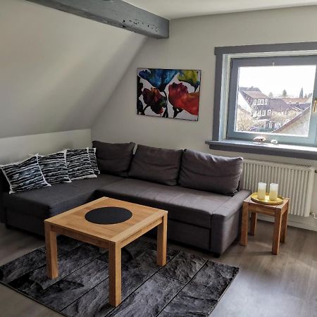 Schoene Ferienwohnung Fuer 6 Personen Erwartet Sie Im Oberharz Sankt Andreasberg Dış mekan fotoğraf
